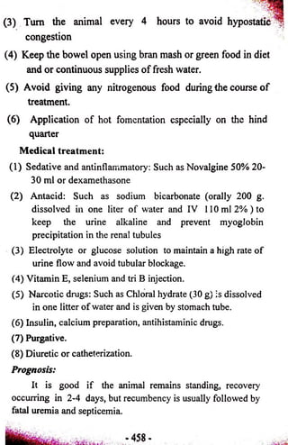 (3) Turn the animal every 4 hours to avoid hypostatic ^ 
congestion 
(4) Keep the bowel open using bran mash or green food in diet 
and or continuous supplies of fresh water. 
(5) Avoid giving any nitrogenous food during the course of 
treatment. 
(6) Application of hot fomentation especially on the hind 
quarter 
Medical treatment: 
(1) Sedative and antinflammatory: Such as Novalgine 50% 20- 
30 ml or dexamethasone 
(2) Antacid: Such as sodium bicarbonate (orally 200 g. 
dissolved in one liter of water and IV 110 ml 2%) to 
keep the urine alkaline and prevent myoglobin 
precipitation in the renal tubules 
(3) Electrolyte or glucose solution to maintain a high rate of 
urine flow and avoid tubular blockage. 
(4) Vitamin E, selenium and tri B injection. 
(5) Narcotic drugs: Such as Chloral hydrate (30 g) is dissolved 
in one litter of water and is given by stomach tube. 
(6) Insulin, calcium preparation, antihistaminic drugs. 
(7) Purgative. 
(8) Diuretic or catheterization. 
Prognosis: 
It is good if the animal remains standing, recovery 
occurring in 2-4 days, but recumbency is usually followed by 
fatal uremia and septicemia. 
 