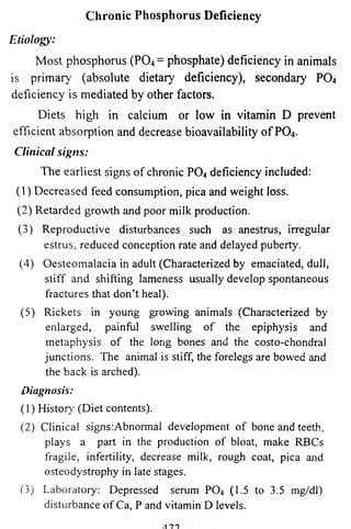 Chronic Phosphorus Deficiency 
Etiology: 
Most phosphorus (PO4 = phosphate) deficiency in animals 
is primary' (absolute dietary deficiency), secondary P 0 4 
deficiency is mediated by other factors. 
Diets high in calcium or low in vitamin D prevent 
efficient absorption and decrease bioavailability of PO4. 
Clinical signs: 
The earliest signs of chronic P 0 4 deficiency included: 
(1) Decreased feed consumption, pica and weight loss. 
(2) Retarded growth and poor milk production. 
(3) Reproductive disturbances such as anestrus, irregular 
estrus, reduced conception rate and delayed puberty. 
(4) Oesteomalacia in adult (Characterized by emaciated, dull, 
stiff and shifting lameness usually develop spontaneous 
fractures that don’t heal). 
(5) Rickets in young growing animals (Characterized by 
enlarged, painful swelling of the epiphysis and 
metaphysis of the long bones and the costo-chondral 
junctions. The animal is stiff, the forelegs are bowed and 
the back is arched). 
Diagnosis: 
(1) History' (Diet contents). 
(2) Clinical signs:Abnormal development of bone and teeth, 
plays a part in the production of bloat, make RBCs 
fragile, infertility, decrease milk, rough coat, pica and 
osteodystrophy in late stages. 
(3) Laboratory: Depressed serum P04 (1.5 to 3.5 mg/dl) 
disturbance of Ca, P and vitamin D levels. 
 