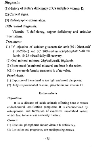Diagnosis: 
(1) History of dietary deficiency of Ca and ph or vitamin D. 
(2) Clinical signs. 
(3) Radiographic examination. 
Differential diagnosis: 
Vitamin E deficiency, copper deficiency and articular 
rheumatism. 
Treatment: 
(1) IV injection of calcium gluconate for Iamb (50-1 OOcc), calf 
(100-200cc) and SC 20% sodium acid phosphate 5-10 ml/ 
lamb, 10-25 ml/calf daily till recovery. 
(2) Oral mineral mixture: 25g/daily/calf, lOg/lamb. 
(3) Bone meal (as mineral mixture) and bran in the ration. 
NB: In severe deformity treatment is of no value. 
Prophylaxis: 
(1) Exposure of the animal to sun light and avoid dampness. 
(2) Daily requirement of calcium, phosphorus and vitamin D. 
Osteomalacia 
Definition: 
It is a disease of adult animals affecting bone in which 
endochondral ossification completed. It is characterized by 
osteoperosis and formation of excessive uncalcified matrix 
which lead to lameness and easly fracture. 
Causes: 
(1) Calcium, phosphorus and/or vitamin D deficiency. 
(2) Lactation and pregnancy are predisposing causes. 
- 475 - 
 