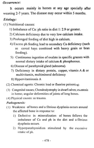 Occurrence: 
It occurs mainly in horses at any age specially after 
weaning 2-7 years. The disease may occur within 5 months. 
Etiology: 
(1) Nutritional causes: 
1) Imbalance of Ca: ph ratio in diet 1: 2.9 or greater. 
2) Calcium deficiency due to very low calcium intake. 
3) Prolonged feeding of diet high in calcium. 
4) Excess ph feeding lead to secondary Ca deficiency (such 
as cereal hays combined with heavy grain or bran 
feeding). 
5) Continuous ingestion of oxalate in specific grasses with 
normal dietary intake of calcium & phosphorous. 
6) Disease of parathyroid gland (adenoma). 
7) Deficiency in dietary protein, copper, vitamin A & or 
multivitamin, multimineral deficiency 
8) Hypervitaminosis A 
(2) Chemical agents: Chronic lead or fluorine poisoning. 
(3) Congenital causes; Chondrodystrophy in dwarf calves; exostosis 
in horse; angular deformities of joints of long bones. 
(4) Physical causes: as trauma. 
Pathogenesis: 
(1) Weakness of bones and a fibrious dysplasia occurs around 
the affected bone in response to: 
1) Defective in mineralization of bones follows the 
imbalance of Ca and ph in the diet and a fibrious 
dysplasia occurs. 
2) Hyperparathyroidism stimulated by the excessive 
intake of ph. 
- 478 - 
 