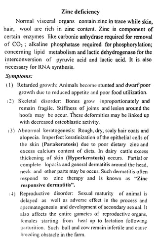 Zinc deficiency 
Normal visceral organs contain zinc in trace while skin, 
hair, wool are rich in zinc content. Zinc is component of 
certain enzymes like carbonic anhydrase required for removal 
of C 0 2 ; alkaline phosphatase required for phosphorylation; 
concerning lipid metabolism and lactic dehydrogenase for the 
interconversion of pyruvic acid and lactic acid. It is also 
necessary for RNA synthesis. 
Symptoms: 
(1) Retarded growth: Animals become stunted and dwarf poor 
growth due to reduced appetite and poor food utilization. 
(2) Skeletal disorder: Bones grow ^proportionately and 
remain fragile. Stiffness of joints and lesion around the 
hoofs may be occur. These deformities may be linked up 
with decreased osteoblastic activity. 
1 3) Abnormal keratogenesis: Rough, dry, scaly hair coats and 
alopecia. Imperfect keratinization of the epithelial cells of 
the skin (Parakeratosis) due to poor dietary zinc and 
excess cqlcium content of diets. In dairy cattle excess 
thickening of skin (Hyperkeratosis) occurs. Partial or 
complete lopccia and general dermatitis around the head, 
neck and other parts may be occur. Such dermatitis often 
respond to zinc therapy and is known as “Zinc 
responsive dermatitis”. 
(4) Reproductive disorder: Sexual maturity of animal is 
delayed as well as adverse effect in the process and 
spermatogenesis and development of secondary sexual. It 
also affects the entire gametes of reproductive organs, 
females starting from heat up to lactation following 
parturition. Such bull and cow remain infertile and cause 
breeding obstacle in the farm. 
 