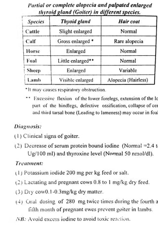 Partial or complete alopecia and palpated enlarged 
thyroid gland (Goiter) in different species. 
Species Thyoidgland Hair coat 
Cattle Slight enlarged Normal 
Calf Gross enlarged * Rare alopecia 
Horse Enlarged Normal 
Foal Little enlarged** Normal 
Ij 
Sheep Enlarged Variable 
il Lamb Visible enlarged Alopecia (Hairless) 
*lt may causes respiratory obstruction. 
¥ * Excessive flexion of the lower forelegs, extension of the lc 
part of the hindlegs, defective ossification, collapse of cer 
and third tarsal bone (Leading to lameness) may occur in foal 
Diagnosis: 
(1) Clinical signs o f goiter. 
(2) Decrease of serum protein bound iodine (Normal =2.4 t 
Ug/100 ml) and thyroxine level (Normal 50 nmol/dl). 
Treatment: 
(1) Potassium iodide 200 mg per kg feed or salt. 
(2) Lactating and pregnant cows 0.8 to 1 mg/kg dry feed. 
(3) Dry cow0.l-0.3mg/kg dry matter. 
(4) Oral dosing of 280 mg twice times during the fourth a 
fifth month of pregnant ewes prevent goiter in lambs. 
N B :Avoid excess iodine to avoid toxic reaction. 
 