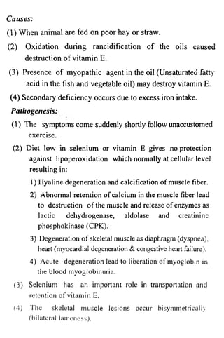 Causes: 
(1) When animal are fed on poor hay or straw. 
(2) Oxidation during rancidification of the oils caused 
destruction of vitamin E. 
(3) Presence of myopathic agent in the oil (Unsaturated fatty 
acid in the fish and vegetable oil) may destroy vitamin E. 
(4) Secondary deficiency occurs due to excess iron intake. 
Pathogenesis: 
(1) The symptoms come suddenly shortly follow unaccustomed 
exercise. 
(2) Diet low in selenium or vitamin E gives no protection 
against lipoperoxidation which normally at cellular level 
resulting in: 
1) Hyaline degeneration and calcification of muscle fiber. 
2) Abnormal retention of calcium in the muscle fiber lead 
to destruction of the muscle and release of enzymes as 
lactic dehydrogenase, aldolase and creatinine 
phosphokinase (CPK). 
3) Degeneration of skeletal muscle as diaphragm (dyspnea), 
heart (myocardial degeneration & congestive heart failure). 
4) Acute degeneration lead to liberation of myoglobin in 
the blood myoglobinuria. 
(3) Selenium has an important role in transportation and 
retention of vitamin E. 
(4) The skeletal muscle lesions occur bisymmetrically 
(bilateral lameness). 
 