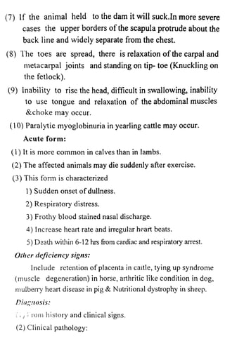 (7) If the animal held to the dam it will suck.In more severe 
cases the upper borders of the scapula protrude about the 
back line and widely separate from the chest. 
(8) The toes are spread, there is relaxation o f the carpal and 
metacarpal joints and standing on tip- toe (Knuckling on 
the fetlock). 
(9) Inability to rise the head, difficult in swallowing, inability 
to use tongue and relaxation of the abdominal muscles 
&choke may occur. 
(10) Paralytic myoglobinuria in yearling cattle may occur. 
Acute form: 
(1) It is more common in calves than in lambs. 
(2) The affected animals may die suddenly after exercise. 
(3) This form is characterized 
1) Sudden onset of dullness. 
2) Respiratory distress. 
3) Frothy blood stained nasal discharge. 
4) Increase heart rate and irregular heart beats. 
5) Death within 6-12 hrs from cardiac and respiratory arrest. 
Other deficiency signs: 
Include retention of placenta in caitle, tying up syndrome 
(muscle degeneration) in horse, arthritic like condition in dog, 
mulberry heart disease in pig & Nutritional dystrophy in sheep. 
Diagnosis: 
( i ; From history and clinical signs. 
(2) Clinical pathology: 
 