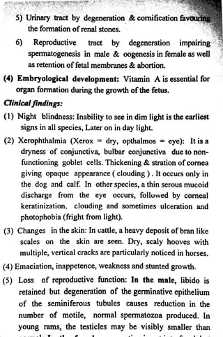 5) Urinary tract by degeneration & comification fevO 
the formation o f renal stones. 
6) Reproductive tract by degeneration impairing 
spermatogenesis in male & oogenesis in female as well 
as retention o f fetal membranes & abortion. 
(4) Embryological development: Vitamin A is essential for 
organ formation during the growth o f the fetus. 
Clinical findings: 
(1) Night blindness: Inability to see in dim light is the earliest 
signs in all species, Later on in day light. 
(2) Xerophthalmia (Xerox = dry, opthalmos = eye): It is a 
dryness of conjunctiva, bulbar conjunctiva due to non­functioning 
goblet cells. Thickening & stration of cornea 
giving opaque appearance ( clouding ) , It occurs only in 
the dog and calf. In other species, a thin serous mucoid 
discharge from the eye occurs, followed by corneal 
keratinization, clouding and sometimes ulceration and 
photophobia (fright from light). 
(3) Changes in the skin: In cattle, a heavy deposit of bran like 
scales on the skin are seen. Dry, scaly hooves with 
multiple, vertical cracks are particularly noticed in horses. 
(4) Emaciation, inappetence, weakness and stunted growth. 
(5) Loss of reproductive function: In the male, libido is 
retained but degeneration o f the germinative epithelium 
o f the seminiferous tubules causes reduction in the 
number o f motile, normal spermatozoa produced. In 
young rams, the testicles may be visibly smaller than 
 