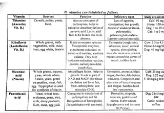 B. vitamins can tabulated as follows 
Vitamin Sources Function Deficiency signs Daily requirem 
Thiamine 
C e re a ls , pulse s, yeast, 
Acts as coenzyme o f 
(Aneurin; 
liver. 
carboxylase, helps in 
Vit. B.) 
oxidative decarboxylation o f 
pyruvic acid. Lactic acid 
fails to be broken due to its 
absence. 
Loss o f appetite; 
constipation; less growth; 
muscular weakness:ataxia, 
polyneuritis, 
polioencephalomalacia 
(cerebro-cortical necrosis). 
Calf: 10 mg 
Horse: 100 m 
Dog: 1 to 10 n 
Cat: 1 to 5 m 
Riboflavin 
(Lactoflavin: 
Vit. B2) 
W h o le gra in s, leafy 
v e g e ta b le s , milk, meat, 
liv e r, e g g w h ite , dextrin 
It acts as enzyme systems 
Flavoprotein enzymes, 
cytochrome reductase, a-amino 
acid oxidase, xanthine 
oxidase. They help 
oxidation-reduction reaction, 
protein, carbohydrate&fat 
metabolism. 
Dermatitis (rough skin); 
salivation; scour; comeal 
opacity; photophobia; 
muscular weakness; anemia; 
redness around the comer o f 
mouth; sudden death 
Cow: 3.5 to 4.5 
Horse:2-4mg/5C 
Dog: 40 mg/ kg 
Nicotinic 
Acid 
(Niacin) 
W h o le g ra in s, legume, 
p e a s , w h o le wheat, 
b e an s , y e a s t, green 
v e g e ta b le s , meat, fish, 
eg g . T ry p to p h a n is used 
for sy n th e s is o f niacin. 
Antipellagra factor. Helps in 
growth. It acts as part o f 
NAD and NADP (for tissue 
oxidation and form fats, 
from carbohydrate, and 
stimulate CNS). 
Dermatitis, anorexia; black 
tongue; diarrhea; dehydration; 
weakness. Congestion and 
ulceration o f buccal mucosa 
and tongue. Sudden death 
isn't uncommon. 
Calf: 25 mg da 
Dog: 0.22 mg/ 
5-10 mg/kg BW 
Pantothenic 
Acid 
Y e a s t, w h e a t bran, 
m o la s s e s , p e a rs, rice, 
m ilk , d a iry p ro d u c ts, 
liv e r, m e a t, eg g y o lk 
Coenzyme in metabolism o f 
carbohydrate and fat. 
Biosynthesis o f hemoglobin. 
(In combination with succinate). 
Dermatitis, alopecia, 
anorexia, gastritis and 
edema. It also causes 
hypoglycemia and increase 
BUN level. 
Dog: 2 to 5 mg/ 
BW 
Cattle: seldon 
suffers 
 