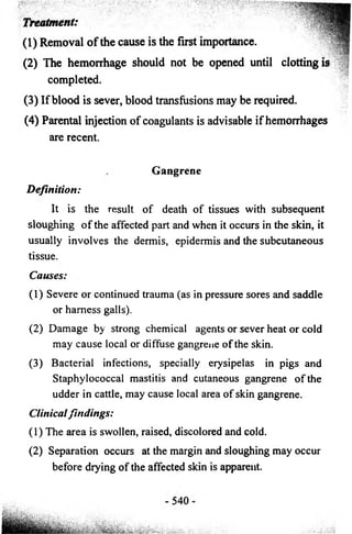 Treatment: 
(1) Removal o f the cause is the first importance. 
(2) The hemorrhage should not be opened until clotting is 
completed. 
(3) If blood is sever, blood transfusions may be required. 
(4) Parental injection of coagulants is advisable if hemorrhages 
are recent. 
Gangrene 
Definition: 
It is the result o f death o f tissues with subsequent 
sloughing o f the affected part and when it occurs in the skin, it 
usually involves the dermis, epidermis and the subcutaneous 
tissue. 
C a u s e s : 
(1) Severe or continued trauma (as in pressure sores and saddle 
or harness galls). 
(2) Damage by strong chemical agents or sever heat or cold 
may cause local or diffuse gangrene o f the skin. 
(3) Bacterial infections, specially erysipelas in pigs and 
Staphylococcal mastitis and cutaneous gangrene o f the 
udder in cattle, may cause local area o f skin gangrene. 
Clinical fin d in g s : 
(1) The area is swollen, raised, discolored and cold. 
(2) Separation occurs at the margin and sloughing may occur 
before drying o f the affected skin is apparent. 
 