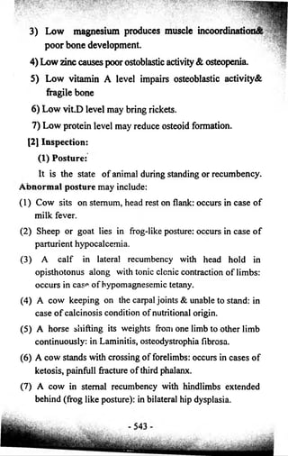 3) Low magnesium produces muscle incoordination^ 
poor bone development. 
4) Low zinc causes poor ostoblastic activity & osteopenia. 
5) Low vitamin A level impairs osteoblastic activity& 
fragile bone 
6) Low vit.D level may bring rickets. 
7) Low protein level may reduce osteoid formation. 
[2] Inspection: 
(1) Posture: 
It is the state o f animal during standing or recumbency. 
Abnormal posture may include: 
(1) Cow sits on sternum, head rest on flank: occurs in case o f 
milk fever. 
(2) Sheep or goat lies in frog-like posture: occurs in case o f 
parturient hypocalcemia. 
(3) A calf in lateral recumbency with head hold in 
opisthotonus along with tonic clonic contraction o f limbs: 
occurs in casp o f bypomagnesemic tetany. 
(4) A cow keeping on the carpal joints & unable to stand: in 
case o f calcinosis condition o f nutritional origin. 
(5) A horse shifting its weights from one limb to other limb 
continuously: in Laminitis, osteodystrophia fibrosa. 
(6) A cow stands with crossing o f forelimbs: occurs in cases o f 
ketosis, painfull fracture o f third phalanx. 
(7) A cow in sternal recumbency with hindlimbs extended 
behind (frog like posture): in bilateral hip dysplasia. 
 