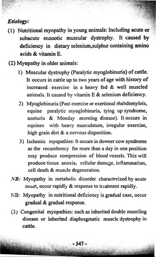Etiology: 
(1) Nutritional myopathy in young animals: Including acute or 
subacute enzootic muscular dystrophy. It caused by 
deficiency in dietary selenium,sulphur containing amino 
acids & vitamin E. 
(2) Myopathy in older animals: 
1) Muscular dystrophy (Paralytic myoglobinuria) of cattle. 
It occurs in cattle up to two years of age with history o f 
increased exercise in a heavy fed & well muscled 
animals. It caused by vitamin E & selenium deficiency. 
2) Myoglobinuria (Post exercise or exertional rhabdomylois, 
equine paralytic myoglobinuria, tying up syndrome, 
azoturia & Monday morning disease). It occurs in 
equines with heavy musculature, irregular exercise, 
high grain diet & a nervous disposition. 
3) Ischemic myopathies: It occurs in downer cow syndrome 
as the recumbency for more than a day in one position 
may produce compression of blood vessels. This will 
produce tissue anoxia, cellular damage, inflammation, 
cell death & muscle degeneration. 
AB: Myopathy in metabolic disorder characterized by acute 
onset, occur rapidly & response to treatment rapidly. 
NB: Myopathy in nutritional deficiency is gradual case, occur 
gradual & gradual response. 
(3) Congenital myopathies: such as inherited double muscling 
disease or inherited diaphragmatic muscle dystrophy in 
cattle. 
 