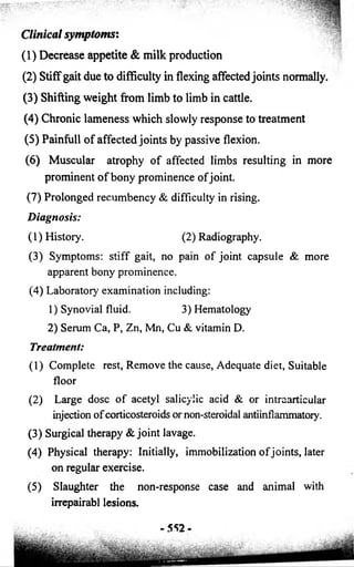 (1) Decrease appetite & milk production 
(2) Stiff gait due to difficulty in flexing affected joints normally. 
(3) Shifting weight from limb to limb in cattle. 
(4) Chronic lameness which slowly response to treatment 
(5) Painfull of affected joints by passive flexion. 
(6) Muscular atrophy of affected limbs resulting in more 
prominent of bony prominence of joint. 
(7) Prolonged recumbency & difficulty in rising. 
Diagnosis: 
(1) History. (2) Radiography. 
(3) Symptoms: stiff gait, no pain o f joint capsule & more 
apparent bony prominence. 
(4) Laboratory examination including: 
1) Synovial fluid. 3) Hematology 
2) Serum Ca, P, Zn, Mn, Cu & vitamin D. 
Treatment: 
(1) Complete rest, Remove the cause, Adequate diet, Suitable 
f lo o r 
(2) Large dose o f acetyl salicylic acid & or intraarticular 
injection o f corticosteroids or non-steroidal antiinflammatory. 
(3) Surgical therapy & joint lavage. 
(4) Physical therapy: Initially, immobilization o f joints, later 
on regular exercise. 
(5) Slaughter the non-response case and animal with 
irrepairabl lesions. 
-SS2- 
Clinical symptoms'. 
 