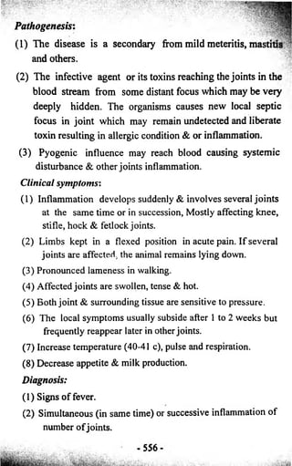 Pathogenesis 
(1) The disease is a secondary from mild meteritis, mastitis 
and others. 
(2) The infective agent or its toxins reaching the joints in the 
blood stream from some distant focus which may be very 
deeply hidden. The organisms causes new local septic 
focus in joint which may remain undetected and liberate 
toxin resulting in allergic condition & or inflammation. 
(3 ) Pyogenic influence may reach blood causing systemic 
disturbance & other joints inflammation. 
C lin ica l symptoms: 
(1) Inflammation develops suddenly & involves several joints 
at the same time or in succession, Mostly affecting knee, 
stifle, hock & fetlock joints. 
(2) Limbs kept in a flexed position in acute pain. If several 
joints are affected, the animal remains lying down. 
(3) Pronounced lameness in walking. 
(4) Affected joints are swollen, tense & hot. 
(5) Both joint & surrounding tissue are sensitive to pressure. 
(6) The local symptoms usually subside after 1 to 2 weeks but 
frequently reappear later in other joints. 
(7) Increase temperature (40-41 c), pulse and respiration. 
(8) Decrease appetite & milk production. 
Diagnosis: 
(1) Signs of fever. 
(2) Simultaneous (in same time) or successive inflammation o f 
number o f joints. 
556 
 