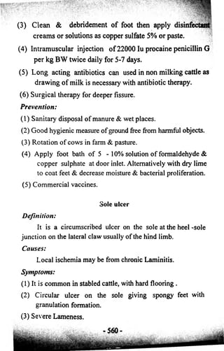 (3) Clean & debridement of foot then apply 
creams or solutions as copper sulfate 5% or paste. 
(4) Intramuscular injection of 22000 Iu procaine penicillin G 
per kg BW twice daily for 5-7 days. 
(5) Long acting antibiotics can used in non milking cattle as 
drawing of milk is necessary with antibiotic therapy. 
(6) Surgical therapy for deeper fissure. 
Prevention: 
(1) Sanitary disposal o f manure & wet places. 
(2) Good hygienic measure o f ground free from harmful objects. 
(3) Rotation o f cows in farm & pasture. 
(4) Apply foot bath o f 5 - 10% solution o f formaldehyde & 
copper sulphate at door inlet. Alternatively with dry lime 
to coat feet & decrease moisture & bacterial proliferation. 
(5) Commercial vaccines. 
Sole ulcer 
Definition: 
It is a circumscribed ulcer on the sole at the heel -sole 
junction on the lateral claw usually o f the hind limb. 
Causes: 
Local ischemia may be from chronic Laminitis. 
Symptoms: 
(1) It is common in stabled cattle, with hard flooring . 
(2) Circular ulcer on the sole giving spongy feet with 
granulation formation. 
(3) Severe Lameness. 
 