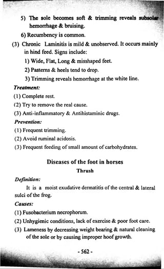 5) The sole becomes soft & trimming reveals 
hemorrhage & bruising. 
6) Recumbency is common. 
(3 ) Chronic Laminitis is mild & unobserved. It occurs mainly 
in hind feed. Signs include: 
1) Wide, Flat, Long & misshaped feet. 
2) Pasterns & heels tend to drop. 
3) Trimming reveals hemorrhage at the white line. 
Treatment: 
(1) Complete rest. 
(2) Try to remove the real cause. 
(3) Anti-inflammatory & Antihistaminic drugs. 
Prevention: 
(1) Frequent trimming. 
(2) Avoid ruminal acidosis. 
(3) Frequent feeding o f small amount o f carbohydrates. 
Diseases of the foot in horses 
Thrush 
Definition: 
It is a moist exudative dermatitis o f the central & lateral 
sulci o f the frog. 
Causes: 
(1) Fusobacterium necrophorum. 
(2) Unhygienic conditions, lack o f exercise & poor foot care. 
(3) Lameness by decreasing weight bearing & natural cleaning 
o f the sole or by causing improper hoof growth. 
 