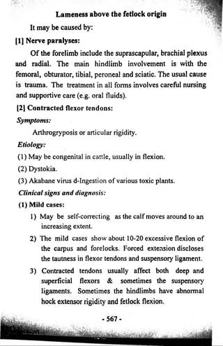 Lameness above the fetlock origin 
It may be caused by: 
[1] Nerve paralyses: 
Of the forelimb include the suprascapular, brachial plexus 
and radial. The main hindlimb involvement is with the 
femoral, obturator, tibial, peroneal and sciatic. The usual cause 
is trauma. The treatment in all forms involves careful nursing 
and supportive care (e.g. oral fluids). 
[2] Contracted flexor tendons: 
Symptoms: 
Arthrogryposis or articular rigidity. 
Etiology: 
(1) May be congenital in cattle, usually in flexion. 
(2) Dystokia. 
(3) Akabane virus d-Ingestion of various toxic plants. 
Clinical signs and diagnosis: 
(1) Mild cases: 
1) May be self-correcting as the calf moves around to an 
increasing extent. 
2) The mild cases show about 10-20 excessive flexion of 
the carpus and forelocks. Forced extension discloses 
the tautness in flexor tendons and suspensory ligament. 
3) Contracted tendons usually affect both deep and 
superficial flexors & sometimes the suspensory 
ligaments. Sometimes the hindlimbs have abnormal 
hock extensor rigidity and fetlock flexion. 
 