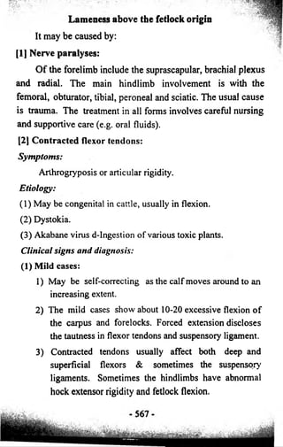 Lameness above the fetlock origin 
It may be caused by: 
[1] Nerve paralyses: 
Of the forelimb include the suprascapular, brachial plexus 
and radial. The main hindlimb involvement is with the 
femoral, obturator, tibial, peroneal and sciatic. The usual cause 
is trauma. The treatment in all forms involves careful nursing 
and supportive care (e.g. oral fluids). 
[21 Contracted flexor tendons: 
Symptoms: 
Arthrogryposis or articular rigidity. 
Etiology: 
(1) May be congenital in cattle, usually in flexion. 
(2) Dystokia. 
(3) Akabane virus d-Ingestion of various toxic plants. 
Clinical signs and diagnosis: 
(1) Mild cases: 
1) May be self-correcting as the calf moves around to an 
increasing extent. 
2) The mild cases show about 10-20 excessive flexion of 
the carpus and forelocks. Forced extension discloses 
the tautness in flexor tendons and suspensory ligament. 
3) Contracted tendons usually affect both deep and 
superficial flexors & sometimes the suspensory 
ligaments. Sometimes the hindlimbs have abnormal 
hock extensor rigidity and fetlock flexion. 
 