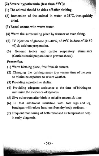 (2) Severe hypothermia (less than 37°C): 
(1) The animal should be dries off after birthing. 
(2) Immersion of the animal in water at38°C, 
dried. 
(3) Rectal enema with warm water. 
(4) Warm the surrounding place by warmer or even firing. 
(5) IV injection of glucose (10-40 %, of 39°C in dose of 30-50 
ml) & calcium preparation. 
(6) General tonics and cardio respiratory stimulants 
(Corticosteroid preparation to prevent shock). 
Prevention: 
(1) Warm birthing place, free from air current. 
(2) Changing the calving season to a warmer time of the year 
to minimize exposure to severe weather. 
(3) Providing a protective shelter. 
(4) Providing adequate assistance at the time of birthing to 
minimize the incidence of dystocia. 
(5) Give colostrum after birth in suitable amount & time. 
(6) In foal additional insulation with foal rugs and leg 
bandages will reduce heat loss from dry body surfaces. 
(7) Frequent monitoring of both rectal and air temperature help 
in early diagnosis. 
then quickly 
 