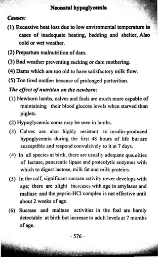 Neonatal hypoglycemia I 
Causes: 
(1) Excessive heat loss due to low enviromental temperature in 
cases of inadequate heating, bedding and shelter, Also 
cold or wet weather. 
(2) Prepartum malnutrition of dam. 
(3) Bad weather preventing sucking or dam mothering. 
(4) Dams which are too old to have satisfactory milk flow. 
(5) Too tired mother because of prolonged parturition. 
The effect o f nutrition on the newborn: 
(1) Newborn lambs, calves and foals are much more capable of 
maintaining their blood glucose levels when starved than 
piglets. 
(2) Hypoglycemic coma may be seen in lambs. 
(3) Calves are also highly resistant to insulin-produced 
hypoglycemia during the first 48 hours of life but are 
susceptible and respond convulsively to it at 7 days. 
(4) In all species at birth, there are usually adequate quantities 
of lactase, pancreatic lipase and proteolytic enzymes with 
which to digest lactose, milk fat and milk proteins. 
(5) In the calf, significant sucrase activity never develops with 
age; there are slight increases with age in amylases and 
maltase and the pepsin-HCI complex is not effective until 
about 2 weeks of age. 
(6) Sucrase and maltase activities in the foal are barely 
detectable at birth but increase to adult levels at 7 months 
of age. 
-576 
 