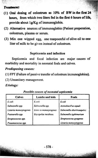 (1) Oral dosing o f colostmm as 10% o f BW in the first 24 
hours, from which two liters fed in the first 6 hours o f life, 
provide about lg/Kg o f immunoglobin. 
(2) Alternative sources o f immunoglobin (Patient preperation, 
colostrum, plasma or serum. 
(3) Mix one wipped egg, one teaspoonful o f olive oil to one 
liter o f milk to be given instead of colostrum. 
Septicemia and infection 
Septicemia and focal infection are major causes o f 
morbidity and mortality in neonatal foals and calves. 
Predisposing causes: 
(1) FPT (Failure of passive transfer of colostrum immunoglobins). 
(2) Unsanitary management. 
Etio lo g y : 
Possible causes o f neonatal septicemia 
Calves Lambs and kids Foals 
E.coli 
Salmonella spp. 
Listeria monocytogenes 
Pasteurella spp. 
Streptococcus spp. 
Pneumococcus spp. 
E. coli 
Salmonella spp. 
Liste; ia monocytogenes 
Ery sipelas insidiosa. 
E.coli 
ActinobaciUus equuli 
Salmonella abortivoequina 
Salmonella typhimurium 
Streptococcus pyogenes 
Listeria monocytogenes 
 