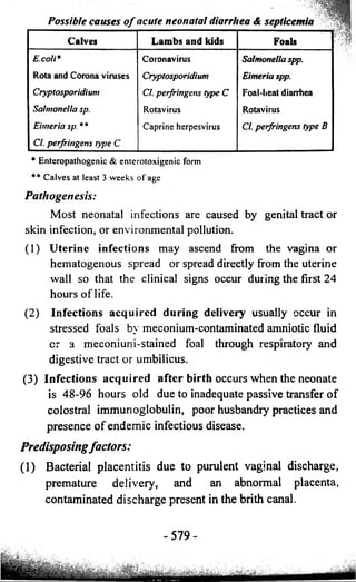 Possible causes o f acute neonatal diarrhea & septicemia 
Calves Lambs and kids Foals 
E.coli* 
Rota and Corona viruses 
Cryptosporidium 
Salmonella sp. 
Eimeria sp. * * 
Cl. perfringens type C 
Coronavirus 
Cryptosporidium 
Cl. perfringens type C 
Rotavirus 
Caprine herpesvirus 
Salmonella spp. 
Eimeria spp. 
Foal-heat diarrhea j 
Rotavirus 
Cl. perfringens type B 
* Enteropathogenic & enterotoxigenic form 
** Calves at least 3 weeks o f age 
Pathogenesis: 
Most neonatal infections are caused by genital tract or 
skin infection, or environmental pollution. 
(1) Uterine infections may ascend from the vagina or 
hematogenous spread or spread directly from the uterine 
wall so that the clinical signs occur during the first 24 
hours o f life. 
(2) Infections acquired during delivery usually occur in 
stressed foals bv meconium-contaminated amniotic fluid * 
cr a meconiuni-stained foal through respiratory and 
digestive tract or umbilicus. 
(3) Infections acquired after birth occurs when the neonate 
is 48-96 hours old due to inadequate passive transfer o f 
colostral immunoglobulin, poor husbandry practices and 
presence o f endemic infectious disease. 
Predisposing factors: 
(1) Bacterial placentitis due to purulent vaginal discharge, 
premature delivery, and an abnormal placenta, 
contaminated discharge present in the brith canal. 
-5 79- 
 