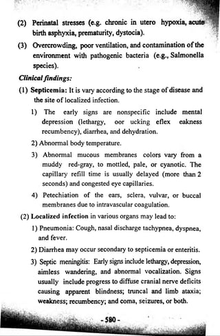 (2) Perinatal stresses (e.g. chronic in utero hypoxia, acute 
birth asphyxia, prematurity, dystocia). 
(3) Overcrowding, poor ventilation, and contamination of the 
environment with pathogenic bacteria (e.g., Salmonella 
species). 
Clinical findings: 
(1) Septicemia: It is vary according to the stage o f disease and 
the site o f localized infection. 
1) The early signs are nonspecific include mental 
depression (lethargy, oor ucking eflex eakness 
recumbency), diarrhea, and dehydration. 
2) Abnormal body temperature. 
3) Abnormal mucous membranes colors vary from a 
muddy red-gray, to mottled, pale, or cyanotic. The 
capillary refill time is usually delayed (more than 2 
seconds) and congested eye capillaries. 
4) Petechiation o f the ears, sclera, vulvar, or buccal 
membranes due to intravascular coagulation. 
(2) Localized infection in various organs may lead to: 
1) Pneumonia: Cough, nasal discharge tachypnea, dyspnea, 
and fever. 
2) Diarrhea may occur secondary to septicemia or enteritis. 
3) Septic meningitis: Early signs include lethargy, depression, 
aimless wandering, and abnormal vocalization. Signs 
usually include progress to diffuse cranial nerve deficits 
causing apparent blindness; truncal and limb ataxia; 
weakness; recumbency; and coma, seizures, or both. 
 
