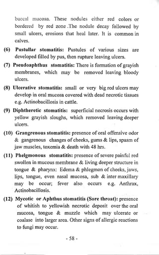 buccal mucosa. These nodules either red colors or 
bordered by red zone .The nodule decay followed by 
small ulcers, erosions that heal later. It is common in 
calves. 
(6) Pustullar stomatitis: Pustules of various sizes are 
developed filled by pus, then rupture leaving ulcers. 
(7) Pseudoaphthus stomatitis: There is formation of grayish 
membranes, which may be removed leaving bloody 
ulcers. 
(8 ) Ulcerative stomatitis: small or very big red ulcers may 
develop in oral mucosa covered with dead necrotic tissues 
e.g. Actinobacillosis in cattle. 
(9) Diphtheretic stomatitis: superficial necrosis occurs with 
yellow grayish sloughs, which removed leaving deeper 
ulcers. 
(10) Grangrenous stomatitis: presence of oral offensive odor 
& gangrenous changes of cheeks, gums & lips, spasm of 
jaw muscles, toxemia & death with 48 hrs. 
(11) Phelgmonous stomatitis: presence of severe painful red 
swollen in mucous membrane & living deeper structure in 
tongue & pharynx: Edema & phlegmon of cheeks, jaws, 
lips, tongue, even nasal mucosa, sub & inter maxillary 
may be occur; fever also occurs e.g. Anthrax, 
Actinobacillosis. 
(12) Mycotic or Aphthus stomatitis (Sore throat): presence 
of whitish to yellowish necrotic deposit over the oral 
mucosa, tongue & muzzle which may ulcerate or 
coalase into larger area. Other signs of allergic reactions 
to fungi may occur. 
- 5 8 - 
 