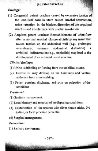[2] Patent urachus 
Etiology 
(1) Congenital patent urachus caused by excessive torsion o f 
the umbilical cord in utero causes urachal obstruction, 
urine retention in the bladder, distention of the proximal 
urachus and interference with urachal involution. 
(2) Acquired patent urachus: Reestablishment of urine flow 
after a normal urachal closure at birth by any insult that 
causes tension on the abdominal wall (e.g., prolonged 
recumbency, tenesmus, abdominal distention) r 
umbilical inflammation (e.g., omphalitis) may lead to the 
development of an acquired patent urachus. 
Clinical findings: 
(1) Urine is dribbling or flowing from the umbilical stump. 
(2) Dermatitis may develop on the hindlimbs and ventral 
abdomen from urine scalding. 
(3) Fever, purulent discharge, and pain on palpation of the 
umbilicus 
Treatment: 
(1) Sanitary management. 
(2) Local therapy and removal of predisposing conditions. 
(3) Cauterization of the urachus with silver nitrate sticks, 2% 
iodine, or local procaine penicillin. 
(4) Surgical management. 
Prevention: 
(1) Sanitary enviroment. 
-587- 
 