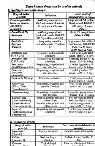 Some human drugs can be used in animals 
Drugs A active 
Indication Dose, route o f 
principle administration A cornpai 
Procaine penicillin 
(Affect gram positive). 
Large animal 2-4 million 
(each vial contain 
Used in treatment of abscess, 
Small animal 400.000 II 
400.000 IU 
& respiratory affection. 
I/M every 12 hours. 
penicillin) 
(Nile). 
-jPenicillin G.Na. 
-Aqua-pen 
(Affect gram positive), 
(each vial contain 1000.000 
IU Crystalline penicillin) 
I/M & I/V every 6 hours. 
(Masr A CID). 
-Penicid LA 
-Last pen 
-Durapen 
Long acting penicillin 
each vial contain 1.2 million 
IU 
Large animal 2-4 million I 
Small animal 400.000 IU. 
I/M every 24 hours. 
(CID, Masr A Nile). 
Ampicillin susp 
(125 & 250) 
R e s p ir a to r y a n d u r o g e n ita l 
a ffe c tio n s 
5 m l f o r d o g a n d c a t /6 
h o u rs / o r a lly / 3 - 5 d a y s . 
Ampicillin vial 
(250 & 500) 
R e s p ir a to r y a n d u r o g e n ita l 
a ffe c tio n s 
1 v ia l d o g a n d c a t /6 - 12 
h o u rs - I /M - 3 - 5 d a y s 
Entox susp 
(1 2 5 & 2 5 0 ) (A m o x ic illin ) 
R e s p ir a to r y , u r o g e n ita l a n d 
s k in a ffe c tio n s 
5 m l f o r d o g a n d c a t 16 
h o u rs / o r a lly / 3- 5 d a y s . 
Entox vial 
(5 0 0 & 1 0 0 0 ) 
(A m o x ic illin ) 
R e s p ir a to r y , u r o g e n ita l a n d 
s k in a ffe c tio n s 
1 v ia l d o g a n d c a t / 12 
h o u rs / - I /M -3 -5 d a y s 
Erythrocin 200 susp R e s p ir a to r y a ffe c tio n s 5 m l / y o u n g a n im a l /6 
h o u rs / o r a lly / 3 - 5 d a y s . 
Velosev vial 
(500 & 1000) 
(C e p h a lo s p o r in ) 
R e s p ir a to r y , u r o g e n ita l a n d 
a r th r itis a ffe c tio n s 
I v ia l / y o u n g a n im a l / 12 
h o u rs - I /M - 3 - 5 d a y s 
Oxycyclene amp R e s p ir a to r y , u ro g e n ita l a n d 
s k in a ffe c tio n s 
1 a m p o u le / y o u n g a n im a l / 
12 h o u rs - I /M - 3 - 5 d a y s 
Cidostin susp 
(C h lo r a m p h e n ic o l) 
E n te r itis , s a lm o n e llo s is a n d 
c o lib a c ilio s is 
5 m l f o r y o u n g a n im a l /6 
h o u rs / o r a lly / 3 - 5 d a y s . 
Thiophenicol v ia l 
(C h lo r a m p h e n ic o l) 
E n te r itis , s a lm o n e llo s is a n d 
c o lib a c ilio s is 
1 v ia l / y o u n g a n im a l / 6 
h o u rs - ! /M - 3 - 5 d a y s 
Septazol 
(S u lfa m e th o x a z o ! & 
t r im e th o p r im ) 
R e s p ir a to r y a n d u ro -g e n ita l 
a ffe c tio n s 
5 m l f o r y o u n g a n im a l / 12 
h o u rs / o r a lly / 3 - 5 d a y s . 
2) A n tifu n g a l 
Drugs A active 
principle 
Indication 
Dose, route o f administration A 
company 
Mycostatin 
(N y s ta tin ) 
M y c o t ic s to m a titis P a in t th e m o u th 3 tim e s d a ily 
Fulvin S y s te m ic fu n g a l 2 ta b le t / 8 h o u rs / o r a lly / 2 0 
(m ic r o n iz e d ) a ffe c tio n s d a y s 
Canesten 
- __ _11 _ 
T o p ic a l fu n g a l 
a!__ 
P a in t th e a ffe c te d p a rt 3 tim e s 
/ AA 
 