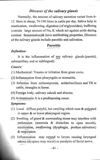 Diseases o f the salivary glands 
Normally, the amount of salivary secretion varied from 6 - 
12 liters in sheep, 74-190 liters in cattle per day. Saliva help in 
mastication, swallowing, digestion (of triglycerides), buffering 
(contain large amount of Na, K which act against acids during 
ruminal fermentation)& have antifrothing properties. Diseases 
of the salivary glands include parotitis and salivation. 
Parotitis 
Definition: 
It is the inflammation of any salivary glands (parotid, 
submaxillary and or sublingual). 
Causes: 
(1) Mechanical: Trauma or irritation from grass owns. 
(2) Inflammation from pharyngitis or stomatitis. 
(3) Infection from actinomycosis, actinobacillosis and TB in 
cattle, strangles in horse. 
(4) Foreign body, salivary calculi and abscess. 
(5) Avitaminosis A is a predisposing cause. 
Symptoms: 
(1) Local diffuse painful, hot swelling which seen & palpated 
in upper & or lower pharyngeal region. 
(2) Swelling of gland & surrounding tissue may interfere with 
prehension (anorexia & disincline to open mouth), 
mastication, swallowing (dysphagia, profuse salivation) 
& respiration. 
(3) Inflammation may extend to larynx causing laryngeal 
edema (dyspnea may occur) or paralysis of facial nerve. 
-61 - 
 