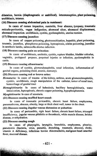 dilatation, hernia (diaphragmatic or umbilical), intussusception, plant poisoning,^ 
urolithiasis, tetanus. 
(16) Diseases causing abdominal pain in ruminant: 
In cases of rumen impaction, ruminitis, liver abscess, tympany, traumatic 
reticulo-peritonitis, vagus indigestion, abomasal ulcer, abomasal displacement, 
abomasal impaction, urolithiasis, cystitis, pyelonephritis, uterine torsion. 
(17) Diseases causing jaundice: 
In cases of copper poisoning, photosensitization, hepatitis, plant poisoning, 
toxemic, jaundice, phosphorus poisoning, leptospirosis, nitrite poisoning, jaundice 
in newborn lambs, salmonella abortus infection. 
(18) Diseases causing pain on urination: 
In cases of urolithiasis, urethritis, cystitis, rupture bladder, bladder calculus, 
vaginitis, prolapsed prepuce, perpetual injuries or infection, pyelonephritis in 
cattle. 
(19) Diseases causing albuminuria: 
In cases of cystitis, glomerulonephritis, renal infarction, inflammation of 
genital organs, poisoning (lead, arsenic, mercuiy). 
(20) Diseases causing red or brown urine: 
Hematuria: In cases of trauma of the kidney, anthrax, acute glomerulonephritis, 
cystitis, urolithiasis, rough manipulation of the catheter, tumor of renal tract, 
hemorrhage of genital tract 
Hemoglobinuria: In cases of babesiosis, bacillary hemoglobinuria, water 
intoxication, leptospirosis, chronic copper poisoning, hypophosphatemia. 
Myoglobinuria: In case of azouturia. 
(21) Diseases causing muffled heart sound: 
In cases of traumatic pericarditis, chronic heart failure, emphysema, 
pneumothorax, abscess, obesity, large or thick chest wall, tumor in the chest. 
(22) Diseases causing Jugular venous distension or pulsation: 
In cases of pericarditis, right heart failure, chronic heart failure, tricuspid 
insufficiency, jugular venous phlebitis or thrombosis, white muscle disease, brisket 
disease, overhydration. 
(23) Diseases causing cough 
In cases of pharyngitis, laryngitis, bronchitis, emphysema, pleurisy, 
pneumonia (bacteria, virus, parasitic, drenching, traumatic, abscess), choke, 
vitamin A deficiency, infectious bovine rhinotracheitis, malignant head catarrhal 
fever, mucosal disease. 
 