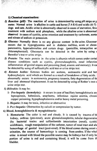 1) Chemical examination: 
1) Reaction (pH): The reaction o f urine is determined by using pH strips or p 
meter. Normal urine is alkaline in cattle and horse (7.4-8.4) and acidic (6-7) 
dogs and cats. Acidic urine is abnormally observed in cases of starvation, fevc 
treatment with sodium acid phosphate, while the alkaline urine is abnormal 
observed in cases o f cystitis, urine retention and treatment by carbonate, aceta 
and nitrate of sodium or potassium. 
2) Glucose: Normally there is no any glucose content in the urine. Glucosur 
occurs due to hyperglycemia and in diabetes mellitus, acute or chron 
pancreatitis, hyperadrenaline and certain drugs (penicillin, tetracycline an 
chloramphenicol). Glucosuria can be detected in the urine by using < 
Benedict’s test or urine strips. 
3) Protein: The main protein in the urine is albumin which comes under certai 
disease conditions such as cystitis, glomerulonephritis, renal infarctioi 
inflammation of genital organs and poisoning (lead, arsenic and mercury). It ca 
be detected by using of sulfosalcylic acid test or urine strips test. 
4) Ketones bodies: Ketones bodies are acetone, acetoacetic acid and bet 
hydroxy butyric acid which are formed as a result of breakdown of fatty acids. 1 
abnormally occurs in acetonemia, pregnancy toxemia, fatty degeneration o f th 
liver and abomasal displacement. It can be detected by using of Rother’s test c 
urine strips test. 
5) Bilirubin: It may be: 
1- Pre-hepatic (hemolytic): It occurs in case of bacillary hemoglobinuria an 
leptospirosis, babesiosis, anaplasma, infectious equine anemia, chroni 
copper poisoning, hypophosphataemia and/or heavy metal poisoning. 
2- Hepatic: It may be toxic, infective or obstructive 
3- Post-hepatic: Obstruction by calculi or compression by tumor. 
6) Blood, hemoglobinuria & myoglobinuria: 
1- Hematuria: The color is red and cloudy. It is caused by trauma of th 
kidney, anthrax (pre-renal), acute glomerulonephritis, tubular degeneratio 
(by bacterial toxins and sulfanilamide intoxication (renal); cystiti: 
urolithiasis, rough manipulation of the catheter, tumor of renal tract and als 
hemorrhage o f genital tract (post-renal). If the blood comes during onset c 
urination, the source o f hemorrhage is coming from urethra. If the whol 
urine is mixed with blood the possible source may be kidneys but if only la: 
portion o f urine is red and containing blood, it will be come from th 
bladder. 
 
