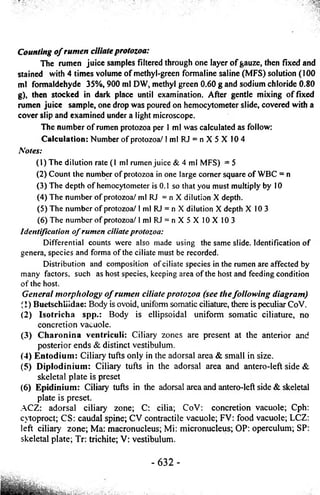 Counting o f rumen ciliale protozoa: 
The rumen juice samples filtered through one layer of gauze, then fixed and 
stained with 4 times volume of methyl-green formaline saline (MFS) solution (100 
ml formaldehyde 35%, 900 ml DW, methyl green 0.60 g and sodium chloride 0.80 
g), then stocked in dark place until examination. After gentle mixing of fixed 
rumen juice sample, one drop was poured on hemocytometer slide, covered with a 
cover slip and examined under a light microscope. 
The number of rumen protozoa per 1 ml was calculated as follow: 
Calculation: Number of protozoa/ I ml RJ = n X 5 X 104 
Notes: 
(1) The dilution rate (1 ml rumen juice & 4 ml MFS) = 5 
(2) Count the number o f protozoa in one large corner square of WBC = n 
(3) The depth o f hemocytometer is 0.1 so that you must multiply by 10 
(4) The number o f protozoa/ ml RJ = nX dilution X depth. 
(5) The number o f protozoa/ I ml RJ = n X dilution X depth X 10 3 
(6) The number o f protozoa/ 1 ml RJ = n X 5 X 10X 103 
Identification o f rumen ciliate protozoa: 
Differential counts were also made using the same slide. Identification o f 
genera, species and forma o f the ciliate must be recorded. 
Distribution and composition o f ciliate species in the rumen are affected by 
many factors, such as host species, keeping area o f the host and feeding condition 
o f the host. 
General morphology o f rumen ciliate protozoa (see the following diagram) 
(1) Buetschliidae: Body is ovoid, uniform somatic ciiiature, there is peculiar CoV. 
(2) Iso tr ich a spp.: Body is ellipsoidal uniform somatic ciiiature, no 
concretion vacuole. 
(3) Charonina ventriculi: Ciliary zones are present at the anterior and 
posterior ends & distinct vestibulum. 
(4) Entodium: Ciliary tufts only in the adorsal area & small in size. 
(5) Diplodinium: Ciliary tufts in the adorsal area and antero-left side & 
skeletal plate is preset 
(6) Epidinium: Ciliary tufts in the adorsal area and antero-left side & skeletal 
plate is preset. 
ACZ: adorsal ciliary zone; C: cilia; CoV: concretion vacuole; Cph: 
cloproct; CS: caudal spine; CV contractile vacuole; FV: food vacuole; LCZ: 
left ciliary zone; Ma: macronucleus; Mi: micronucleus; OP: operculum; SP: 
skeletal plate; Tr: trichite; V: vestibulum. 
- 632 - 
 