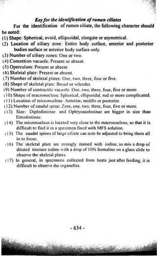 Key fo r the identification o f rumen ciliates 
For the identification of rumen ciliate, the following character should 
be noted: 
(1) Shape: Spherical, ovoid, ellipsoidal, elongate or asymetrical. 
(2) Location of ciliary zone: Entire body surface, anterior and posterior 
bodies surface or anterior body surface only. 
(3) Number o f ciliary zones: One or two. 
(4) Concretion vacuole: Present or absent. 
(5) Operculum: Present or absent. 
(6) Skeletal plate: Present or absent. 
(7) Number of skeletal plates: One, two, three, four or five. 
(8) Shape of skeletal plate: Broad or selender. 
(9) Number of contractile vacuole: One, two, three, four, five or more. 
110) Shape of macronucleus: Spherical, ellipsoidal, rod or more complicated. 
ti l) Location of micronucleus: Anterior, middle or posterior. 
(12) Number of caudal spine: Zero, one, two, three, four, five or more. 
(13) Size: Diplodiniinae and Ophryoscolecinae are bigger in size than 
Entodiniinae. 
(14) The micronucleus is located very close to the macronucleus, so that it is 
difficult to find it in a specimen fixed with MFS solution. 
1 15) The caudal spines of large ciliate can note be adjusted to bring them all 
in to focus. 
1 16) The skeletal plate are strongly stained with iodine, so mix a drop of 
diluted tincture iodine with a drop of 10% formaline on a glass slide to 
observe the skeletal plates. 
(17) In general, in specimens collected from hosts just after feeding, it is 
difficult to observe the organelles. 
 