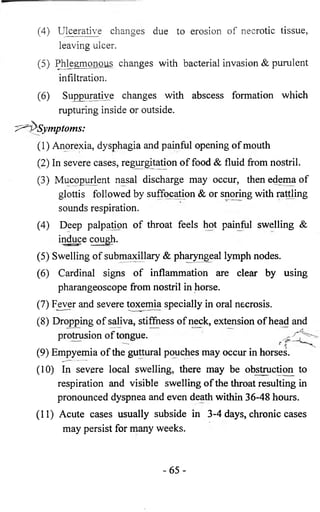 (4) Ulcerative changes due to erosion of necrotic tissue, 
leaving ulcer. 
(5) Phlegmonous changes with bacterial invasion & purulent 
infiltration. 
(6 ) Suppurative changes with abscess formation which 
rupturing inside or outside. 
Symptoms: 
(1) Anorexia, dysphagia and painful opening of mouth 
(2) In severe cases, regurgitation of food & fluid from nostril. 
(3) Mucopurlent nasal discharge may occur, then edema of 
glottis followed by suffocation & or snoring with rattling 
sounds respiration. 
(4) Deep palpation of throat feels hot painful swelling & 
induce cough. 
(5) Swelling of submaxillary & pharyngeal lymph nodes. 
(6 ) Cardinal signs of inflammation are clear by using 
pharangeoscope from nostril in horse. 
(7) Fever and severe toxemia specially in oral necrosis. 
(8 ) Dropping of sahva, stiffness of neck, extension of head and 
protrusion of tongue. 
(9) Empyemia of the guttural pouches may occur in horses. 
(10) In severe local swelling, there may be obstruction to 
respiration and visible swelling of the throat resulting in 
pronounced dyspnea and even death within 36-48 hours. 
(11) Acute cases usually subside in 3-4 days, chronic cases 
may persist for many weeks. 
<r 
- 6 5 - 
 
