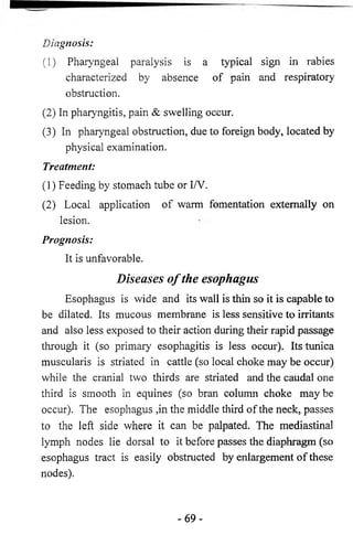 Diagnosis: 
(1) Pharyngeal paralysis is a typical sign in rabies 
characterized by absence of pain and respiratory 
obstruction. 
(2) In pharyngitis, pain & swelling occur. 
(3) In pharyngeal obstruction, due to foreign body, located by 
physical examination. 
Treatment: 
(1) Feeding by stomach tube or I/V. 
(2) Local application of warm fomentation externally on 
lesion. 
Prognosis: 
It is unfavorable. 
Diseases o f the esophagus 
Esophagus is wide and its wall is thin so it is capable to 
be dilated. Its mucous membrane is less sensitive to irritants 
and also less exposed to their action during their rapid passage 
through it (so primary esophagitis is less occur). Its tunica 
muscularis is striated in cattle (so local choke may be occur) 
while the cranial two thirds are striated and the caudal one 
third is smooth in equines (so bran column choke maybe 
occur). The esophagus ,in the middle third of the neck, passes 
to the left side where it can be palpated. The mediastinal 
lymph nodes lie dorsal to it before passes the diaphragm (so 
esophagus tract is easily obstructed by enlargement of these 
nodes). 
- 6 9 - 
 