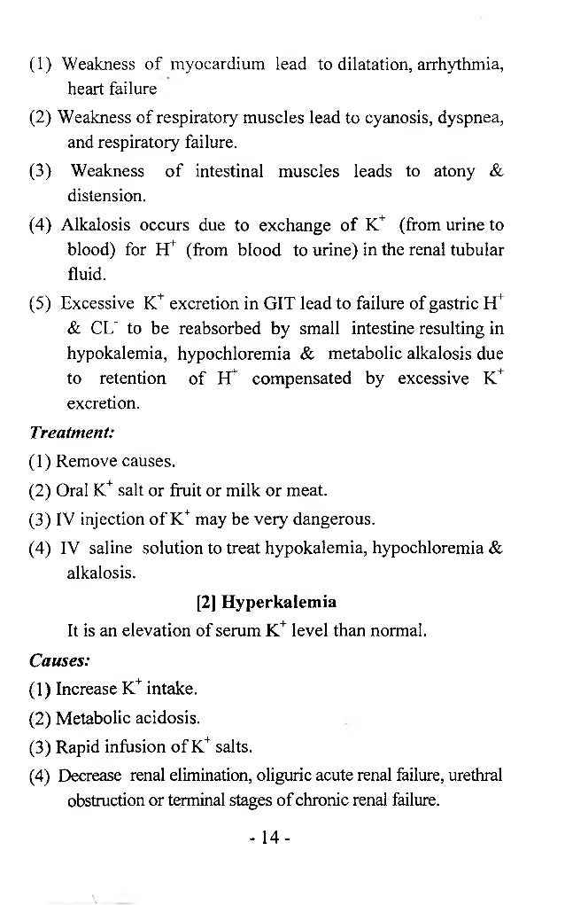 example outline essay