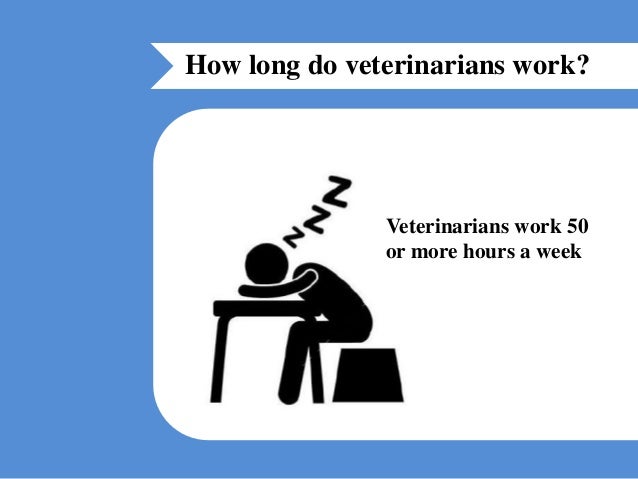 hours of a veterinarian