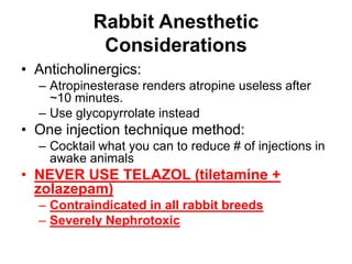 Vet 2300 exotics and lab animal | PPTX