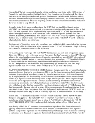 Now, right off the bat, you should already be mixing your baby's water bottle with a 50/50 mixture of 
Gatorade (or apple juice) and purified bottled water. Any citrus flavor will usually work fine. If you 
don't want to use apple juice or Gatorade, you can also substitute Pedialite (made for human babies) 
because it doesn't have the high-fructose corn syrup contained in Gatorade - but either works equally 
well in most circumstances. About the only thing you have to do is switch out this mixture every other 
day or so, in order to keep it fresh. :-) 
Secondly, for the first 6 weeks you have them, the ONLY fruit you should feed them is apples. 
NOTHING else. No matter how tempting it is to watch them eat other stuff - save that for later in their 
lives. The basic reason for this is simply that baby sugar bears get MOST of their liquids from their 
apples - and apples contain PECTIN - which is a VERY important digestive agent for their little 
tummies. Remember, as little babies, their tummies don't have all the necessary digestive enzymes yet 
that they need to eat other foods - so it's best to play it SAFE for the FIRST SIX WEEKS – and stick 
religiously to the diet we lay out for you. 
The basic rule of thumb here is that baby sugar bears are a lot like little kids – especially when it comes 
to their eating habits. In other words, if you give them sweet, FUN stuff all day to eat - they'll definitely 
eat it. However, that doesn't mean it's GOOD for them. 
For example, every year we get FAR TOO MANY frantic emails and calls from new parents, saying 
things like: "Help, my baby is throwing up"...or "has severe diarrhea" ..etc..etc.. In almost EVERY case 
when we dig into what's happening, these well-meaning moms/dads got some CRAZY information off 
some credible-LOOKING website or chat room that told them sugar gliders LOVE this kind of food - 
or that our diet is terrible and that they should immediately switch their baby to a different diet – 
etc..etc... The problem is that by the time they figure out they got BAD advice, their little baby's 
digestive system is all out of whack - and it could easily die in less than a day or two. 
WARNING REGARDING CHANGING DIETS: Suddenly changing a diet that any animal has become 
accustomed to over time can be very dangerous. This is true for almost any animal, but it is especially 
important for young baby Sugar Bears, whose tiny digestive systems are very delicate at this young 
age. Changing a baby’s diet automatically forces their entire digestive system into a state of extreme 
stress - as its digestive system is suddenly forced to cope with and process a whole range of strange 
foods it has never experienced before. This stress extends all the way down to the cellular level – 
causing every system in the baby’s body to effectively go into “crisis mode”. Once this happens, the 
baby will often develop diarrhea very quickly – and it can die as a direct result of JUST changing their 
diet. It’s essentially the same principle as how a full-grown dog or cat will usually get diarrhea if you 
switch their brand of food – except that these little darlings only weigh a couple OUNCES at this age – 
and subjecting their entire body to such an extremely high level of unnecessary stress can be deadly. 
Bottom line... The diet that is laid out for you in the audio CD and these Special Reports has been 
designed – and approved – by multiple Doctors of Veterinary Medicine who specialize in these 
animals; and all our babies are already used to eating it. PLEASE stick to this exact diet FOR AT 
LEAST THE FIRST SIX WEEKS - and you're little darling(s) will get off to a GREAT start :-) 
Now, having said all that, it's important to understand that Sugar Bears, like almost all mammals, 
typically host trace levels of various bacteria and/or parasites (such as Giardia) in their digestive 
systems. Many of these organisms are believed to naturally exist in sugar bears, in much the same way 
as we humans have thousands of organisms that normally live in our digestive tracts. Under everyday 
 