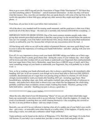 them to go to www.ASGV.org and join the Association of Sugar Glider Veterinarians™. Tell them they 
can find something called a “Formulary” - and all treatment information - on that site (they will know 
what that means). Also, once they are members they can speak directly with some of the top Vets in the 
world who specialize in these little guys, and get any other answers they might need right over the 
phone. :-) 
From there, all you have to do is just follow their instructions. :-) 
All of the above very standard stuff for treating small mammals, and the good news is that even if they 
need to do all of the above things – the total cost is normally only between $50-$100 for everything. :-) 
IMPORTANT NOTE ON MEDICATIONS: One of the most common mistakes people make when 
giving their animals prescribed medications is that they stop giving it to the animal before the medicine 
runs out. For example, even if the baby's stools become firm, always finish any prescribed medications 
exactly as outlined by your Vet, because that will prevent any reoccurrence down the road. :-) 
All that being said, while we are still on the subject of potential illnesses, one more quick thing I want 
to cover is about the importance of washing your hands both before - and after - playing with your new 
little darling(s). 
First off, it's very important to always wash your hands BEFORE taking your babies out of their cage. 
This is because there's a pretty good chance that - during the course of your ordinary day - there might 
still be toxins and other residues left on your hands or underneath your fingernails that could potentially 
hurt your sugar bears if they lick it. Remember, sugar bears have a GREAT sense of smell, and if they 
sense something strange on your hands or underneath your fingernails, they will probably try to check 
it out :-) 
Now, as far as washing your hands afterwards goes, this is always a good thing to do immediately after 
handling ANY pet. In all our research, even though we've never been able to find even ONE SINGLE 
verifiable, documented case of a sugar bear ever passing along an illness to a human, it's still always 
strongly recommended to wash your hands after handling ANY pet - including sugar bears. Most 
household pets, including: dogs, cats, birds, and reptiles routinely pass along all kinds of sicknesses to 
humans - and studies have shown that in almost every case where this has happened, the whole thing 
probably could have been avoided by owners simply washing their hands. Therefore, getting in this 
habit both before - and after - handling your pets is always a good idea :-) 
****************** ONE LAST THING ******************** 
About the only other kind of non-life-threatening "illness" (if you can call it that) which baby sugar 
bears can occasionally come down with is an eye infection. Usually when this happens, it's simply the 
result of accidentally scratching their eye while cleaning themselves. Like everything else covered so 
far, this is an easy problem to detect - and very simple to treat... 
Basically, you can tell if an eye infection is starting when all of a sudden one of your baby's eyes swells 
shut – gets crusty - or noticeably turns either blueish or a milky white. If this happens, it's pretty easy to 
treat using a warm, wet cloth and a substance called "triple antibiotic".. 
Triple antibiotic can be found on the shelves of Walgreens, CVS, Wal-Mart, and Target. It's in the First 
Aid Section. If your baby's eye is matted shut, just take a warm, moist cloth and gently rub the 
 