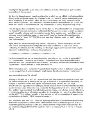 "matting" off the eye until it opens. Then, if it's not blueish or milky white in color - just wait a few 
hours and see if it closes again. 
If it does, (or the eye is already blueish or milky white in color), just put a TINY bit of triple-antibiotic 
directly on the problem eye twice a day. Always wipe the eye clean with a warm, wet cloth each time 
before re-applying. It will probably take a few days to see a change, and it may turn a milky white 
before it starts to get better - but it should take care of the problem if you just keep it up... Again, if in 
doubt, don't hesitate to take them to a Vet. They should be able to identify the problem very easily :-) 
Now, having said that, it’s important to point out that there is a BIG difference between having a simple 
eye “infection” or a much more serious problem called an “abscess”. An abscess is simply an infection 
(usually caused by getting a small cut inside their mouth) that is under the skin – and while it is rare - 
with sugar bears it usually first appears as some sort of “bump” on their face. If you do happen to 
notice a “bump” or “lump” ANYWHERE on your sugar bear’s face (not on the eye itself) – take it to 
your Vet immediately. 
Again, while rare, an abscess can get very serious – very quickly – because it can spread into their 
sinus cavities and respiratory tract and quickly cause death if not treated as soon as it is noticed. 
Fortunately, it’s extremely rare that something like this might happen, and it is usually a very simple, 
inexpensive problem to treat – as long as it is caught early. :-) 
*************************************************** 
One last reminder in case you end up needing to take your baby to a Vet… Again, be sure to PRINT 
OUT: 1) this report, 2) the special report entitled: “Transitioning your Sugar Bears to a Healthy & 
Nutritious Diet”, and 3) the Veterinary Article entitled: "What Every Veterinarian Needs to Know about 
Sugar Gilders" - and BRING THEM WITH YOU to the Vet. 
All this information can be found in the “Health & Safety Reports” section of the Family Circle, and 
you can also pull them all up in one place by simply pasting the following link into your browser: 
www.sugargliderinfo.org/Vet_info.pdf 
Bringing all this with you to ANY vet - no matter how often they see these little guys - will often save 
you a lot of valuable time & trouble when you right in the middle of an urgent health emergency. For 
example, as we state in several other reports, unfortunately many Vets who don’t see Sugar 
Bears/Gliders on a regular basis are still relying on very outdated dietary information that has not been 
updated for many years. If this is the case, you can bet that they probably will not be familiar with our 
diet – and they may immediately conclude that you are not feeding your baby(ies) correctly. Therefore, 
by printing out all the above information and taking it with you to the Vet - (as well as asking them to 
join the ASGV™) - it will save you a lot of time; and your Vet will be reassured that all aspects of our 
care and diet are in fact OPTIMAL for these little guys. :-) 
Well, that's about it for now! Like I said at the beginning of this email, if you follow the precautionary 
instructions exactly as we've laid out above for the first few weeks of their lives - you will be WAY 
ahead of the game and probably NEVER have a health problem with your new little addition(s). We 
just love these little guys SO much that we always want to go waaaaaay OUT of our way to be extra 
safe :-) 
 
