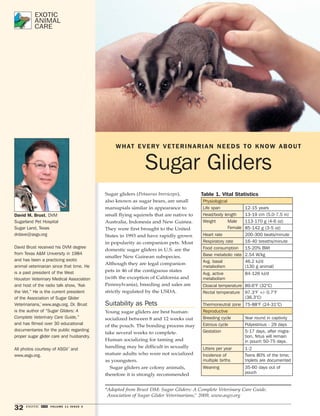 32 EXOTIC DVM VOLUME 11 ISSUE 3 
WHAT EVERY VETERINARIAN NEEDS TO KNOW ABOUT 
Sugar Gliders 
Sugar gliders (Petaurus breviceps), 
also known as sugar bears, are small 
marsupials similar in appearance to 
small flying squirrels that are native to 
Australia, Indonesia and New Guinea. 
They were first brought to the United 
States in 1993 and have rapidly grown 
in popularity as companion pets. Most 
domestic sugar gliders in U.S. are the 
smaller New Guinean subspecies. 
Although they are legal companion 
pets in 46 of the contiguous states 
(with the exception of California and 
Pennsylvania), breeding and sales are 
strictly regulated by the USDA. 
Suitability as Pets 
Young sugar gliders are best human-socialized 
between 8 and 12 weeks out 
of the pouch. The bonding process may 
take several weeks to complete. 
Human socializing for taming and 
handling may be difficult in sexually 
mature adults who were not socialized 
as youngsters. 
Sugar gliders are colony animals, 
therefore it is strongly recommended 
EXOTIC 
ANIMAL 
CARE 
David M. Brust, DVM 
Sugarland Pet Hospital 
Sugar Land, Texas 
drdave@asgv.org 
David Brust received his DVM degree 
from Texas A&M University in 1984 
and has been a practicing exotic 
animal veterinarian since that time. He 
is a past president of the West 
Houston Veterinary Medical Association 
and host of the radio talk show, “Ask 
the Vet.” He is the current president 
of the Association of Sugar Glider 
Veterinarians,™ www.asgv.org. Dr. Brust 
is the author of “Sugar Gliders: A 
Complete Veterinary Care Guide,” 
and has filmed over 30 educational 
documentaries for the public regarding 
proper sugar glider care and husbandry. 
All photos courtesy of ASGV™ and 
www.asgv.org. 
Table 1. Vital Statistics 
Physiological 
Life span 12-15 years 
Head/body length 13-19 cm (5.0-7.5 in) 
Weight Male 
Female 
113-170 g (4-6 oz) 
85-142 g (3-5 oz) 
Heart rate 200-300 beats/minute 
Respiratory rate 16-40 breaths/minute 
Food consumption 15-20% BWt 
Base metabolic rate 2.54 W/kg 
Avg. basal 
46.2 kJ/d 
metabolism 
(130 g animal) 
Avg. active 
metabolism 
84-126 kJ/d 
Cloacal temperature 89.6°F (32°C) 
Rectal temperature 97.3°F +/- 0.7°F 
(36.3°C) 
Thermoneutral zone 75-88°F (24-31°C) 
Reproductive 
Breeding cycle Year round in captivity 
Estrous cycle Polyestrous - 29 days 
Gestation 5-17 days, after migra-tion, 
fetus will remain 
in pouch 50-75 days. 
Litters per year 1-2 
Incidence of 
multiple births 
Twins 80% of the time; 
triplets are documented 
Weaning 35-60 days out of 
pouch 
*Adapted from Brust DM: Sugar Gliders: A Complete Veterinary Care Guide. 
Association of Sugar Glider Veterinarians,™ 2009, www.asgv.org 
 