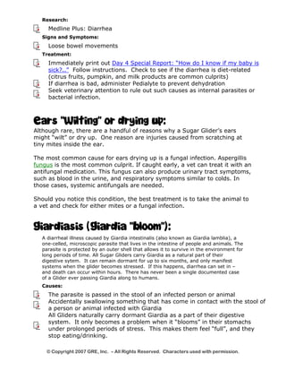 Research: 
Medline Plus: Diarrhea 
Signs and Symptoms: 
Loose bowel movements 
Treatment: 
Immediately print out Day 4 Special Report: “How do I know if my baby is 
sick?..” Follow instructions. Check to see if the diarrhea is diet-related 
(citrus fruits, pumpkin, and milk products are common culprits) 
If diarrhea is bad, administer Pedialyte to prevent dehydration 
Seek veterinary attention to rule out such causes as internal parasites or 
bacterial infection. 
Ears “Wilting” or drying up: 
Although rare, there are a handful of reasons why a Sugar Glider’s ears 
might “wilt” or dry up. One reason are injuries caused from scratching at 
tiny mites inside the ear. 
The most common cause for ears drying up is a fungal infection. Aspergillis 
fungus is the most common culprit. If caught early, a vet can treat it with an 
antifungal medication. This fungus can also produce urinary tract symptoms, 
such as blood in the urine, and respiratory symptoms similar to colds. In 
those cases, systemic antifungals are needed. 
Should you notice this condition, the best treatment is to take the animal to 
a vet and check for either mites or a fungal infection. 
Giardiasis (Giardia “bloom”): 
A diarrheal illness caused by Giardia intestinalis (also known as Giardia lamblia), a 
one-celled, microscopic parasite that lives in the intestine of people and animals. The 
parasite is protected by an outer shell that allows it to survive in the environment for 
long periods of time. All Sugar Gliders carry Giardia as a natural part of their 
digestive sytem. It can remain dormant for up to six months, and only manifest 
systems when the glider becomes stressed. If this happens, diarrhea can set in – 
and death can occur within hours. There has never been a single documented case 
of a Glider ever passing Giardia along to humans. 
Causes: 
The parasite is passed in the stool of an infected person or animal 
Accidentally swallowing something that has come in contact with the stool of 
a person or animal infected with Giardia 
All Gliders naturally carry dormant Giardia as a part of their digestive 
system. It only becomes a problem when it “blooms” in their stomachs 
under prolonged periods of stress. This makes them feel “full”, and they 
stop eating/drinking. 
© Copyright 2007 GRE, Inc. – All Rights Reserved. Characters used with permission. 
 