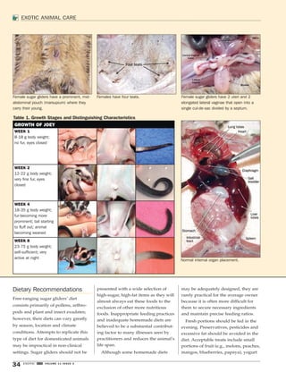 EXOTIC ANIMAL CARE 
Female sugar gliders have a prominent, mid-abdominal 
pouch (marsupium) where they 
carry their young. 
Table 1. Growth Stages and Distinguishing Characteristics 
Dietary Recommendations 
Free-ranging sugar gliders’ diet 
consists primarily of pollens, arthro-pods 
and plant and insect exudates; 
however, their diets can vary greatly 
by season, location and climate 
conditions. Attempts to replicate this 
type of diet for domesticated animals 
may be impractical in non-clinical 
settings. Sugar gliders should not be 
34 EXOTIC DVM VOLUME 11 ISSUE 3 
presented with a wide selection of 
high-sugar, high-fat items as they will 
almost always eat these foods to the 
exclusion of other more nutritious 
foods. Inappropriate feeding practices 
and inadequate homemade diets are 
believed to be a substantial contribut-ing 
factor to many illnesses seen by 
practitioners and reduces the animal’s 
life span. 
Although some homemade diets 
may be adequately designed, they are 
rarely practical for the average owner 
because it is often more difficult for 
them to secure necessary ingredients 
and maintain precise feeding ratios. 
Fresh portions should be fed in the 
evening. Preservatives, pesticides and 
excessive fat should be avoided in the 
diet. Acceptable treats include small 
portions of fruit (e.g., melons, peaches, 
mangos, blueberries, papaya), yogurt 
GROWTH OF JOEY 
WEEK 1 
8-18 g body weight; 
no fur, eyes closed 
WEEK 2 
12-22 g body weight; 
very fine fur, eyes 
closed 
WEEK 4 
18-35 g body weight; 
fur-becoming more 
prominent; tail starting 
to fluff out; animal 
becoming weaned 
WEEK 8 
23-75 g body weight; 
self-sufficient; very 
active at night 
Female sugar gliders have 2 uteri and 2 
elongated lateral vaginae that open into a 
single cul-de-sac divided by a septum. 
Females have four teats. 
Normal internal organ placement. 
 