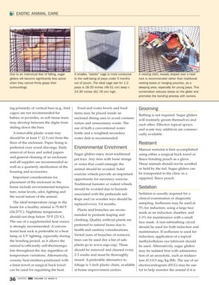 ing primarily of vertical bars (e.g., bird 
cages) are not recommended for 
babies or juveniles, as soft tissue tears 
may develop between the digits from 
sliding down the bars. 
A removable plastic waste tray 
should be at least 1" (2.5 cm) from the 
floor of the enclosure. Paper lining is 
preferred over wood shavings. Daily 
removal of feces and soiled papers 
and general cleaning of an enclosure 
and all supplies are recommended as 
well as a quarterly sterilization of the 
housing and accessories. 
Important considerations for 
placement of the enclosure in the 
home include environmental tempera-ture, 
noise levels, odor, lighting and 
the social nature of the animal. 
The ideal temperature range in the 
home for a healthy animal is 75-80°F 
(24-27°C). Nighttime temperature 
should not drop below 70°F (21°C). 
The use of a supplemental heat source 
is strongly recommended. A conven-tional 
heat rock is preferable to a heat 
lamp or UV lighting, especially during 
the bonding period, as it allows the 
animal to efficiently self-thermoregu-late 
throughout the day regardless of 
temperature variations. Alternatively, 
ceramic heat emitters positioned with 
a linen towel or surgical huck towel 
can be used for regulating the heat. 
36 EXOTIC DVM VOLUME 11 ISSUE 3 
Food and water bowls and food 
items may be placed inside an 
enclosed dining area to avoid contami-nation 
and unnecessary waste. The 
use of both a conventional water 
bottle and a weighted secondary 
water dish is recommended. 
Environmental Enrichment 
Sugar gliders enjoy most traditional 
pet toys. Any item with loose strings 
or wires that could entangle the 
animal should be avoided. Solid 
exercise wheels provide an important 
opportunity for necessary exercise. 
Traditional hamster or rodent wheels 
should be avoided due to hazards 
associated with the prehensile tail. 
Rope and/or wooden toys should be 
replaced every 3-4 months. 
Plants and branches are recom-mended 
to promote leaping and 
climbing. Quality artificial plants are 
preferred to natural fauna due to 
health and sanitary considerations. 
Varied sizes of branches of nontoxic 
trees can be used (for a list of safe 
plants go to www.asgv.org). These 
should be removed and cleaned every 
2-3 weeks and must be thoroughly 
rinsed. A preferable alternative to 
foliage is 1-inch plastic chain, available 
at home improvement centers. 
Grooming 
Bathing is not required. Sugar gliders 
will routinely groom themselves and 
each other. Effective topical sprays 
and waste tray additives are commer-cially 
available. 
Restraint 
Manual restraint is best accomplished 
using either a surgical huck towel or 
fleece bonding pouch as a glove. 
These animals should not be scruffed 
or held by the tail. Sugar gliders can 
be transported to the clinic in a 
zippered, fleece pouch. 
Sedation 
Sedation is usually required for a 
clinical examination or diagnostic 
sampling. Isoflurane may be used at 
5% for induction, using a large face 
mask as an induction chamber, and 
1-3% for maintenance with a small 
face mask. A non-rebreathing circuit 
should be used for both induction and 
maintenance. If isoflurane is used for 
induction, application of a topical 
methylcellulose eye lubricant should 
be used. Alternatively, sugar gliders 
may be sedated first with administra-tion 
of an anxiolytic, such as midazo-lam 
(0.3-0.5 mg/kg IM). The use of an 
electrocardiogram (ECG) may be use-ful 
to help monitor the animal if it is 
EXOTIC ANIMAL CARE 
A smaller, “starter” cage is more conducive 
to the well-being of joeys under 5 months 
out of pouch. The ideal cage size for 1-2 
joeys is 18-20 inches (46-51 cm) deep x 
24-30 inches (61-76 cm) high. 
Due to an instinctual fear of falling, sugar 
gliders will become significantly less active 
when they cannot firmly grasp their 
surroundings. 
A nesting cloth, loosely draped over a heat 
rock is recommended rather than traditional 
nesting boxes or hanging pouches, as a 
sleeping area, especially for young joeys. This 
combination reduces stress on the glider and 
promotes the bonding process with owners. 
 