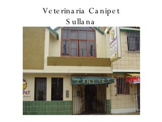 Veterinaria Canipet Sullana 