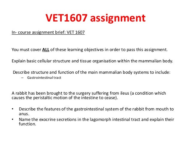 An integrated review of the role of communication in veterinary clinical practice image