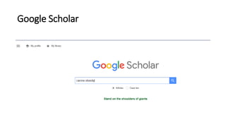 Google Scholar
 