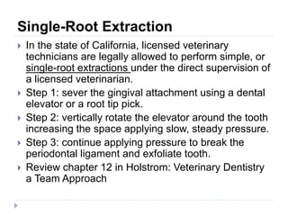 Vet 2300 dental prophylaxis | PPTX