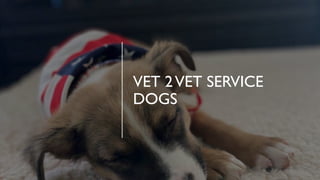 VET 2VET SERVICE
DOGS
 