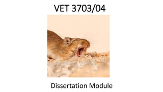 VET 3703/04
Dissertation Module
 